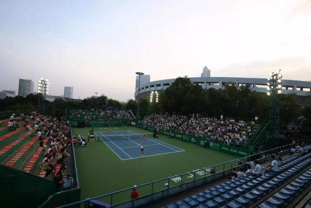 竞技水平的 竞技水平的